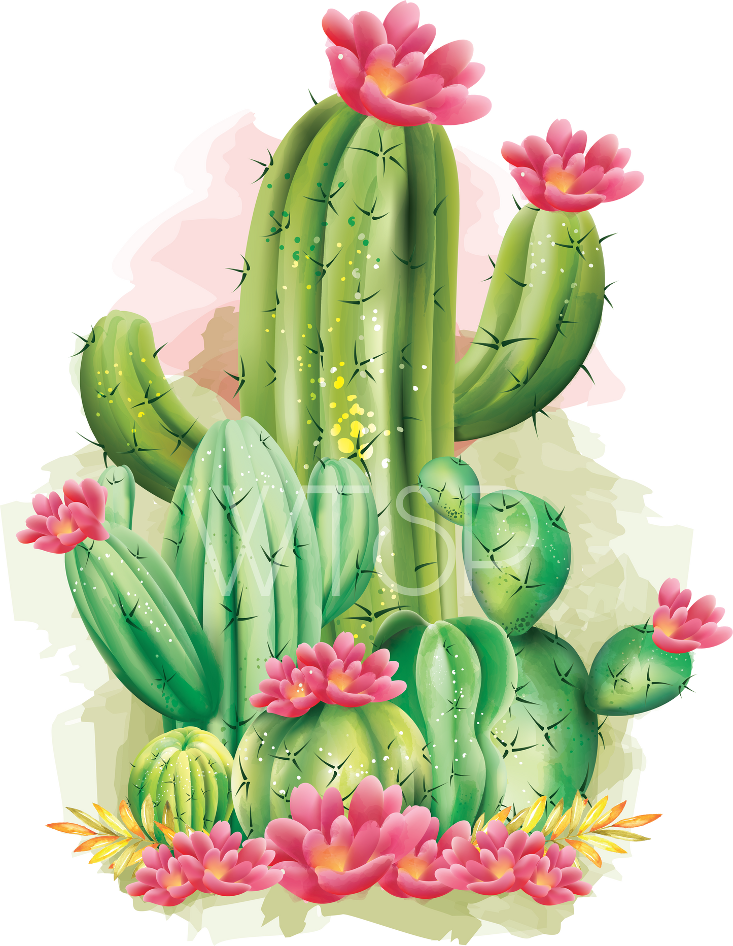 Cactus with flowers