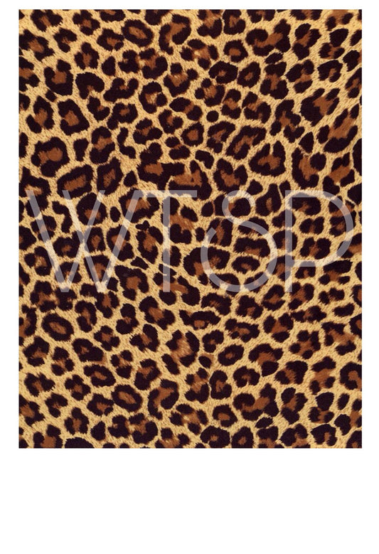 Cheetah scrunch set
