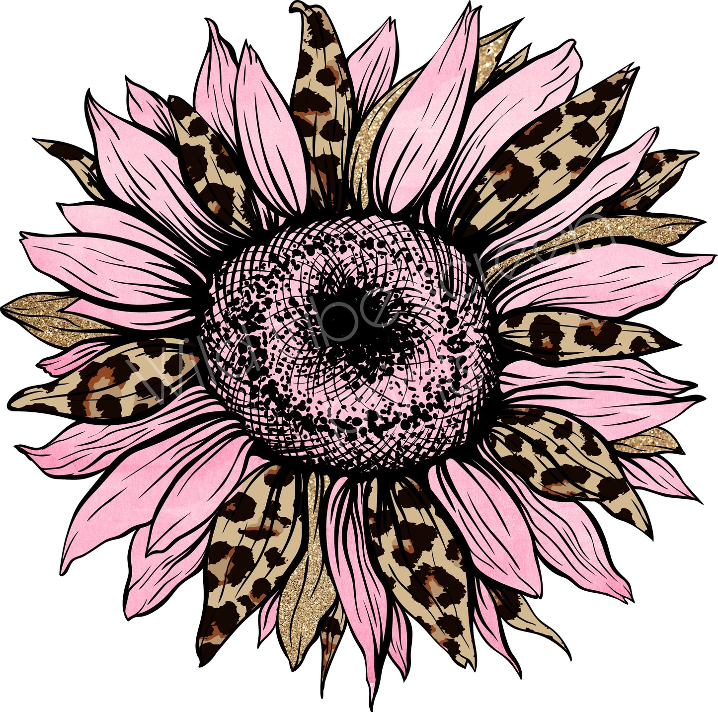 Pink sunflower